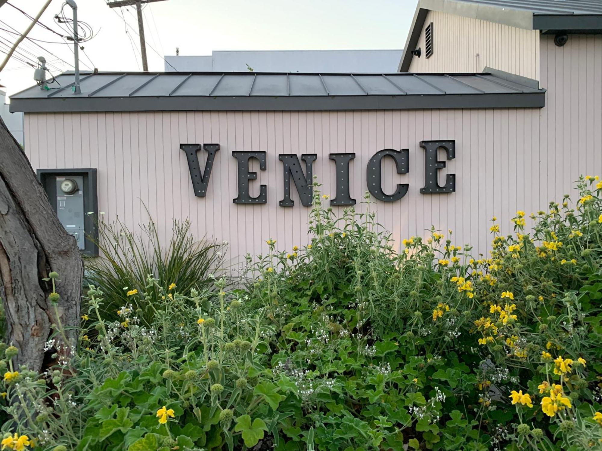 Chic Venice Beach Bungalow Steps From The Canals & Beach 로스앤젤레스 외부 사진